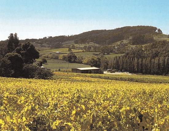 liebliche_weisse_tafelweine_01