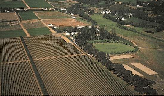 constantia_uitsig_01